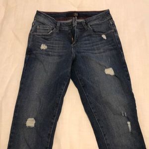 Fran Denim distressed skinny jeans